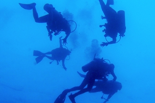 与那国島ドリフトダイビング