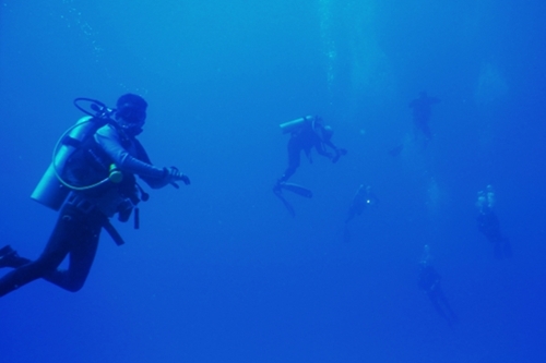 与那国島ドリフトダイビング