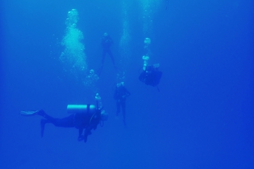 与那国島ドリフトダイビング