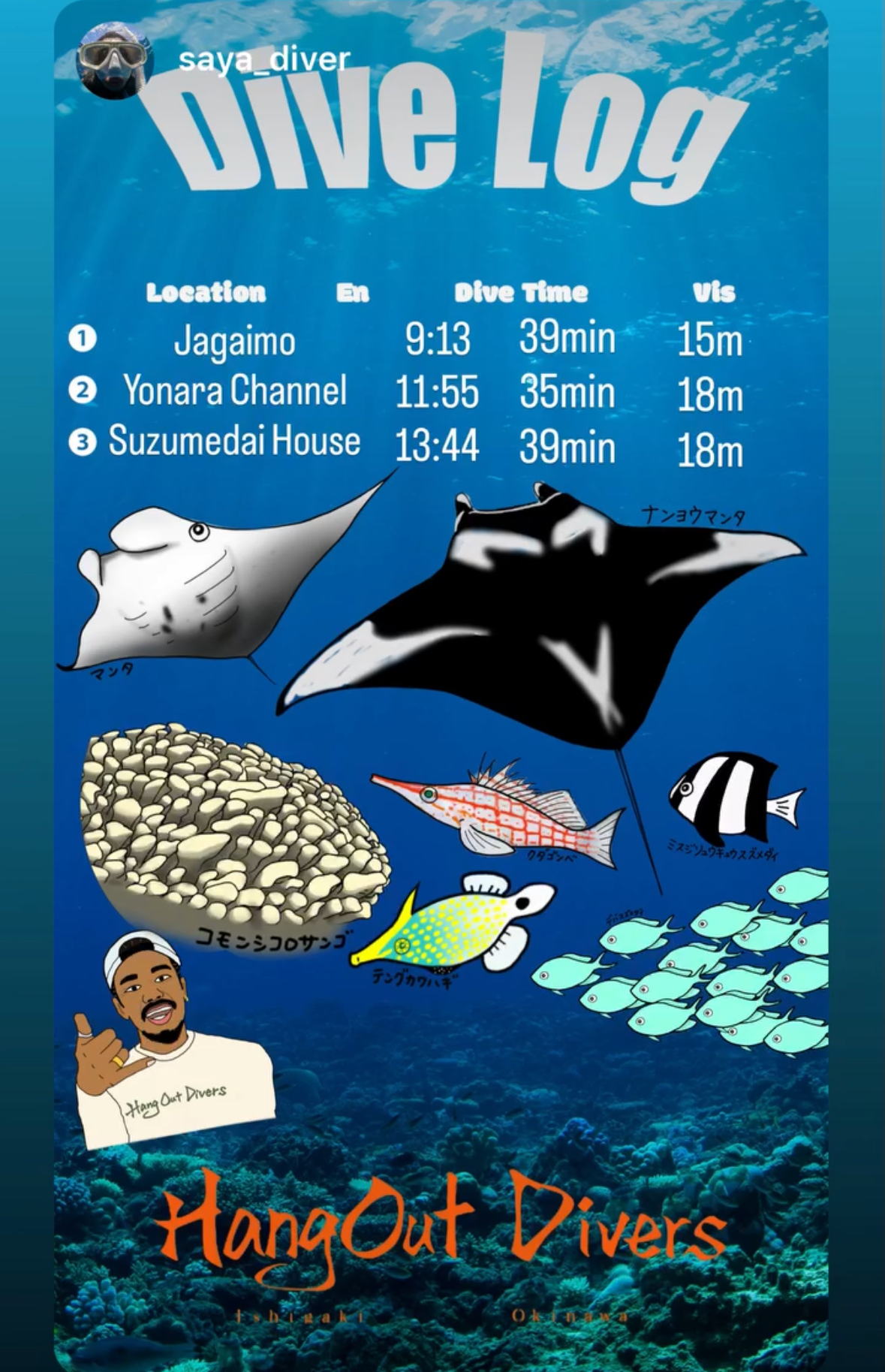 4 November 2025 Fun Diving 🇰🇷