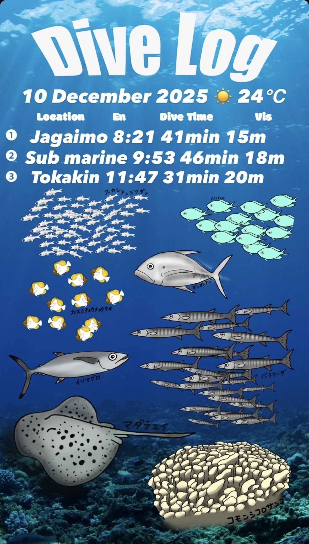 10 December 2025 Fun Diving 🇺🇸