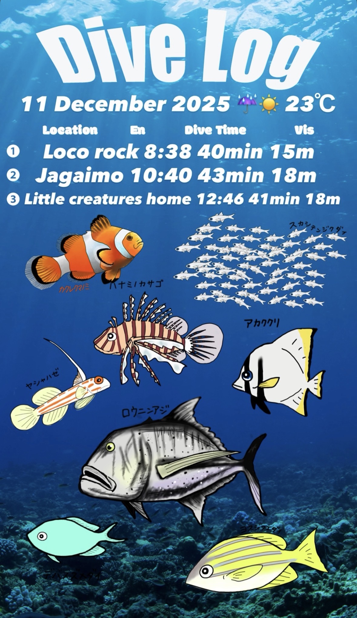 11 December 2025 Fun Diving　🇰🇷