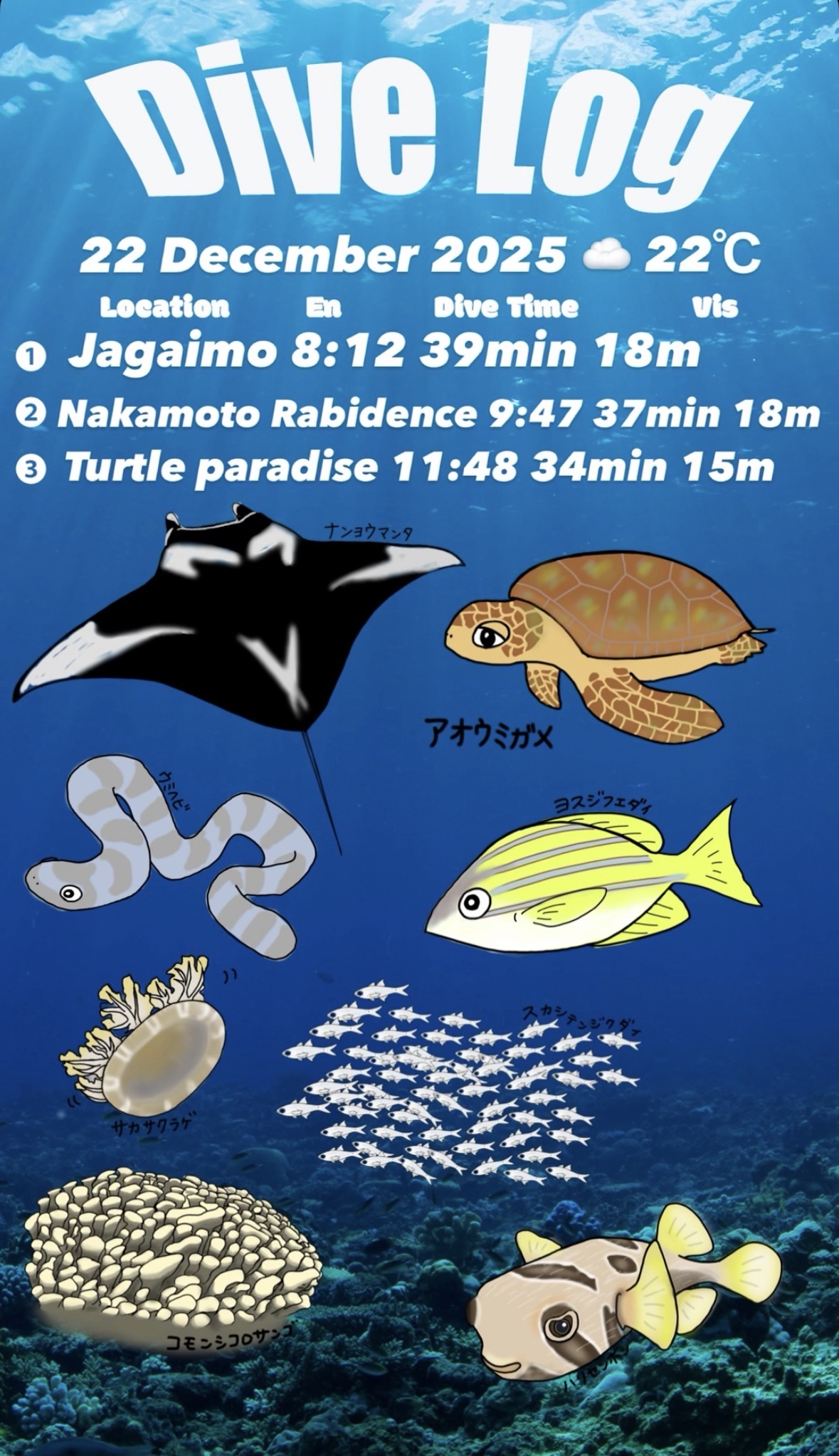 22 December 2025 Fun Diving 🇰🇷