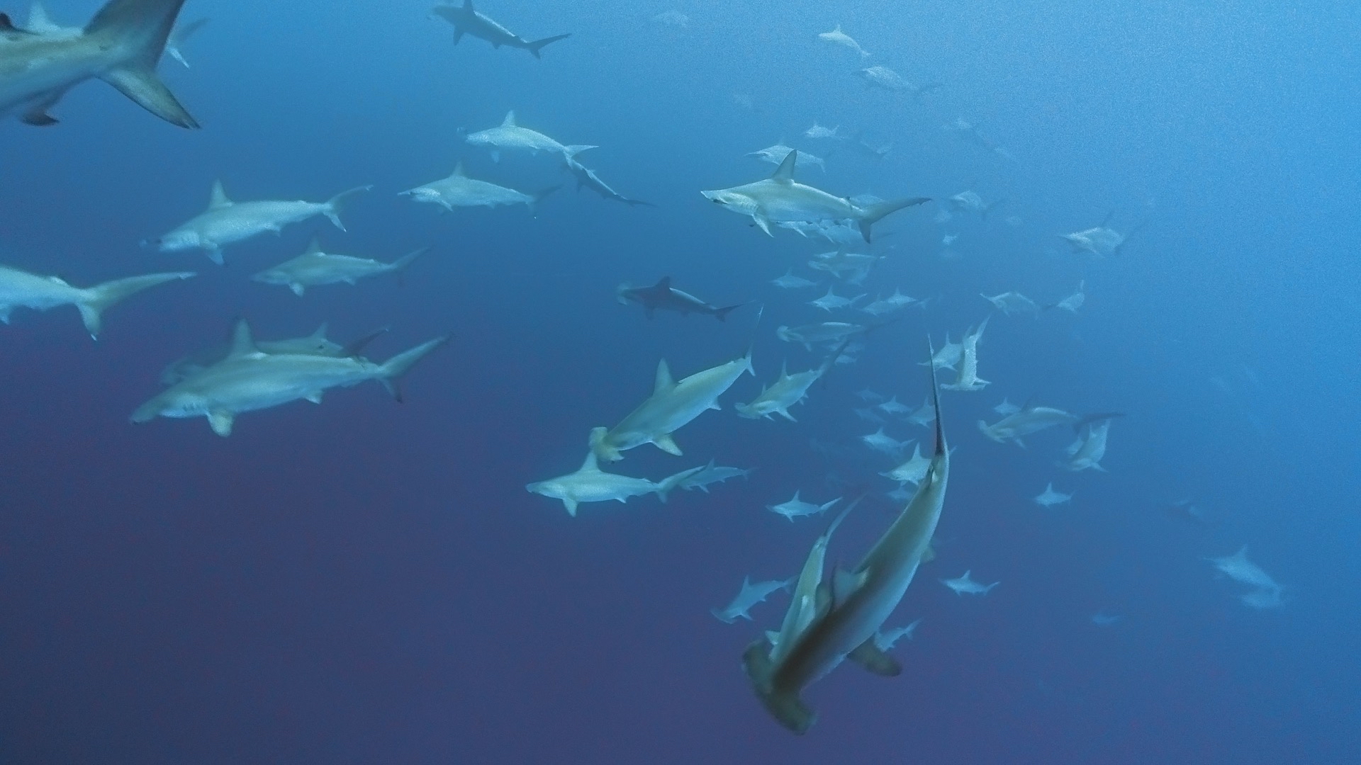 13 December 2025 Yonaguni island