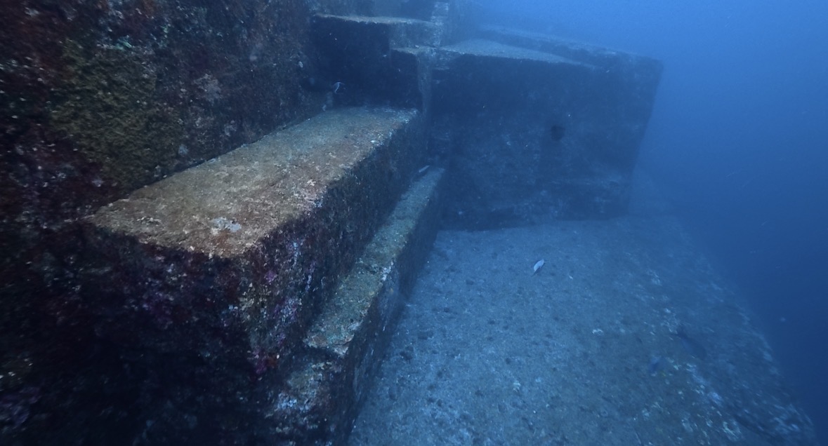 13 February 2026 Fun Diving