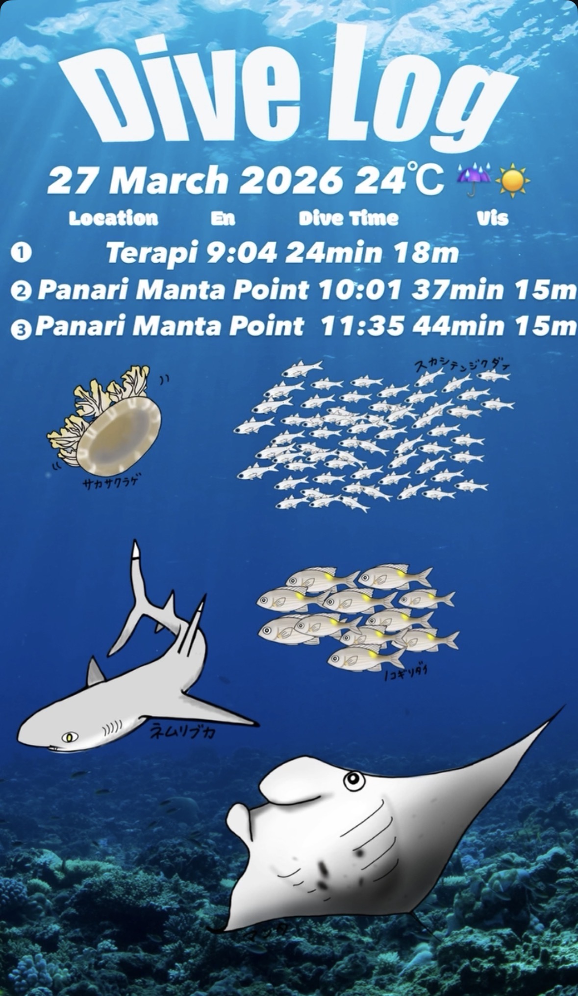 27 March 2026 Fun Diving