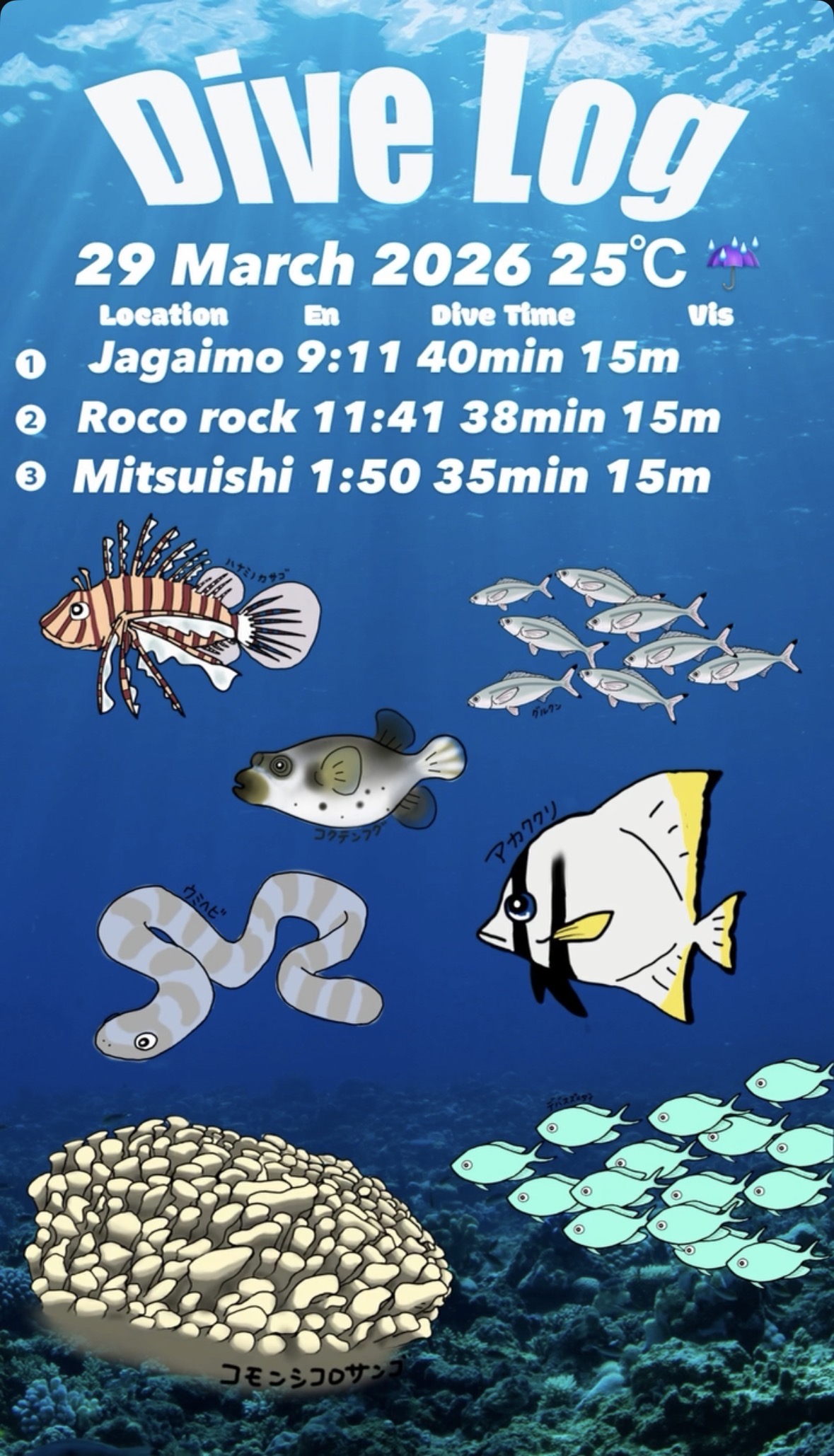 29 March 2026 Fun Diving🇰🇷