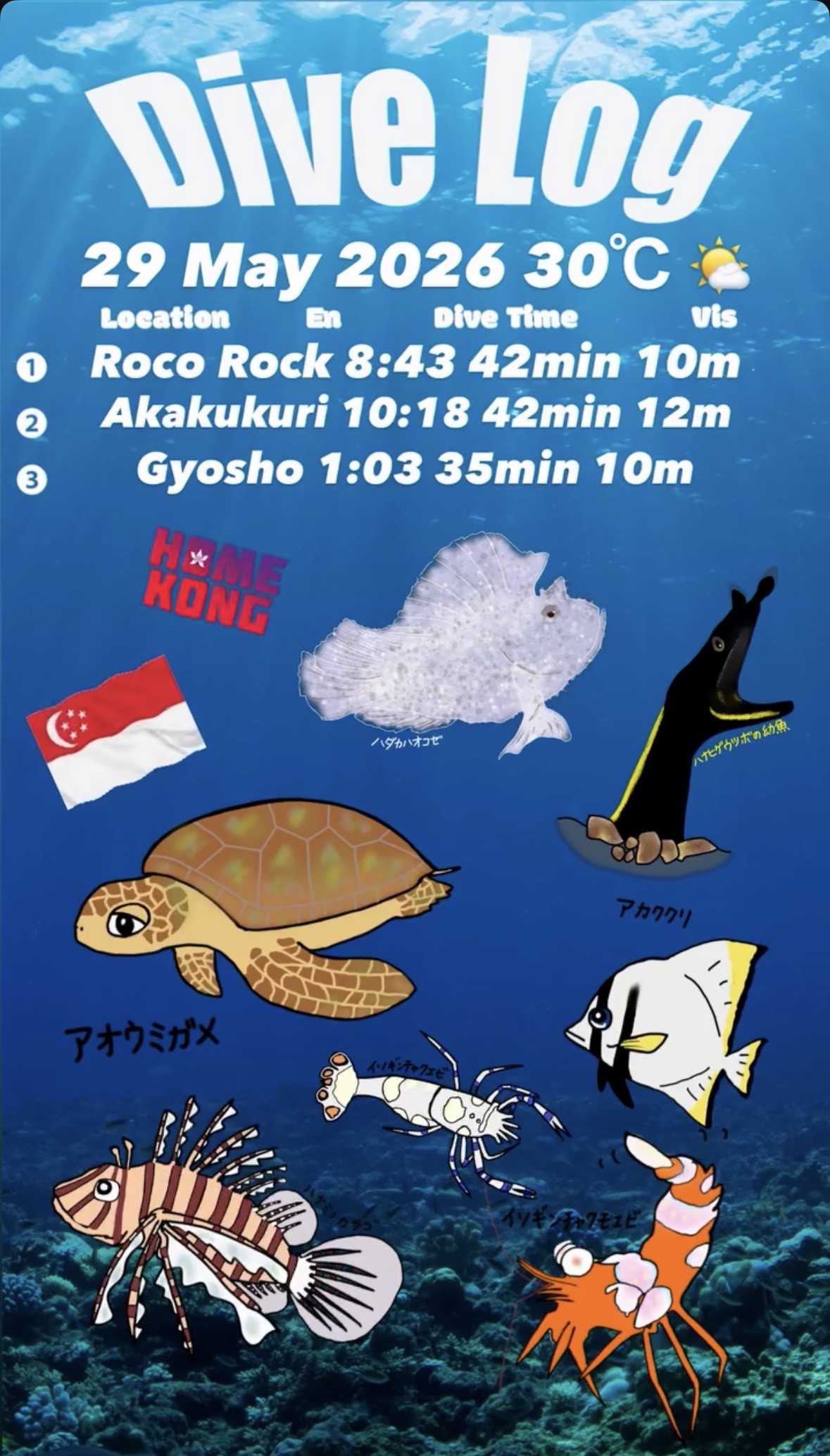 29 May 2026 Fun Diving 🇭🇰🇸🇬