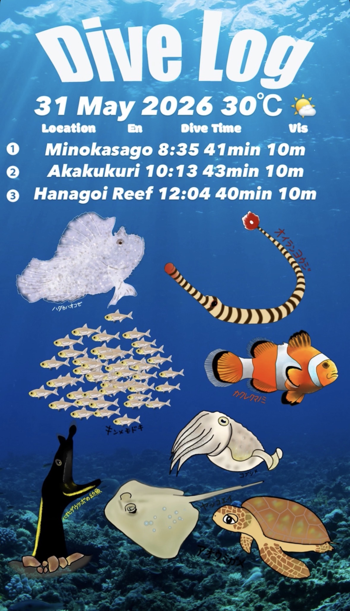 31 May 2026 Fun Diving 🇭🇰🇸🇬